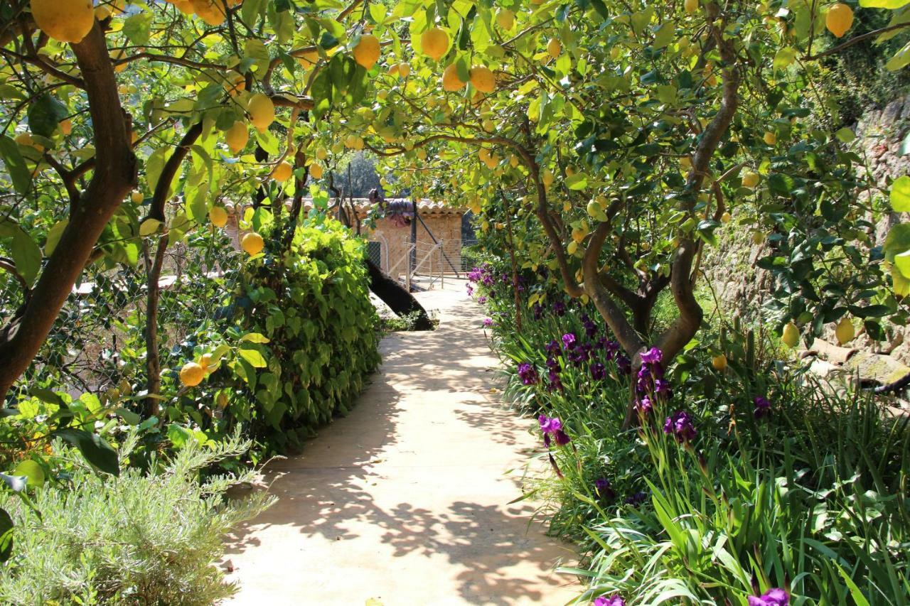 Ca Na Menga Villa Soller Exterior photo